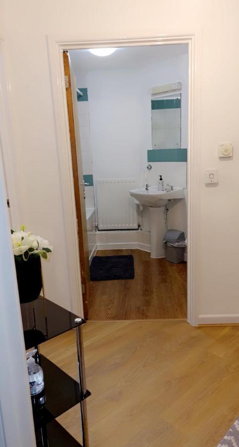 1 Bed Apartment, Peckham Rye 伦敦 外观 照片